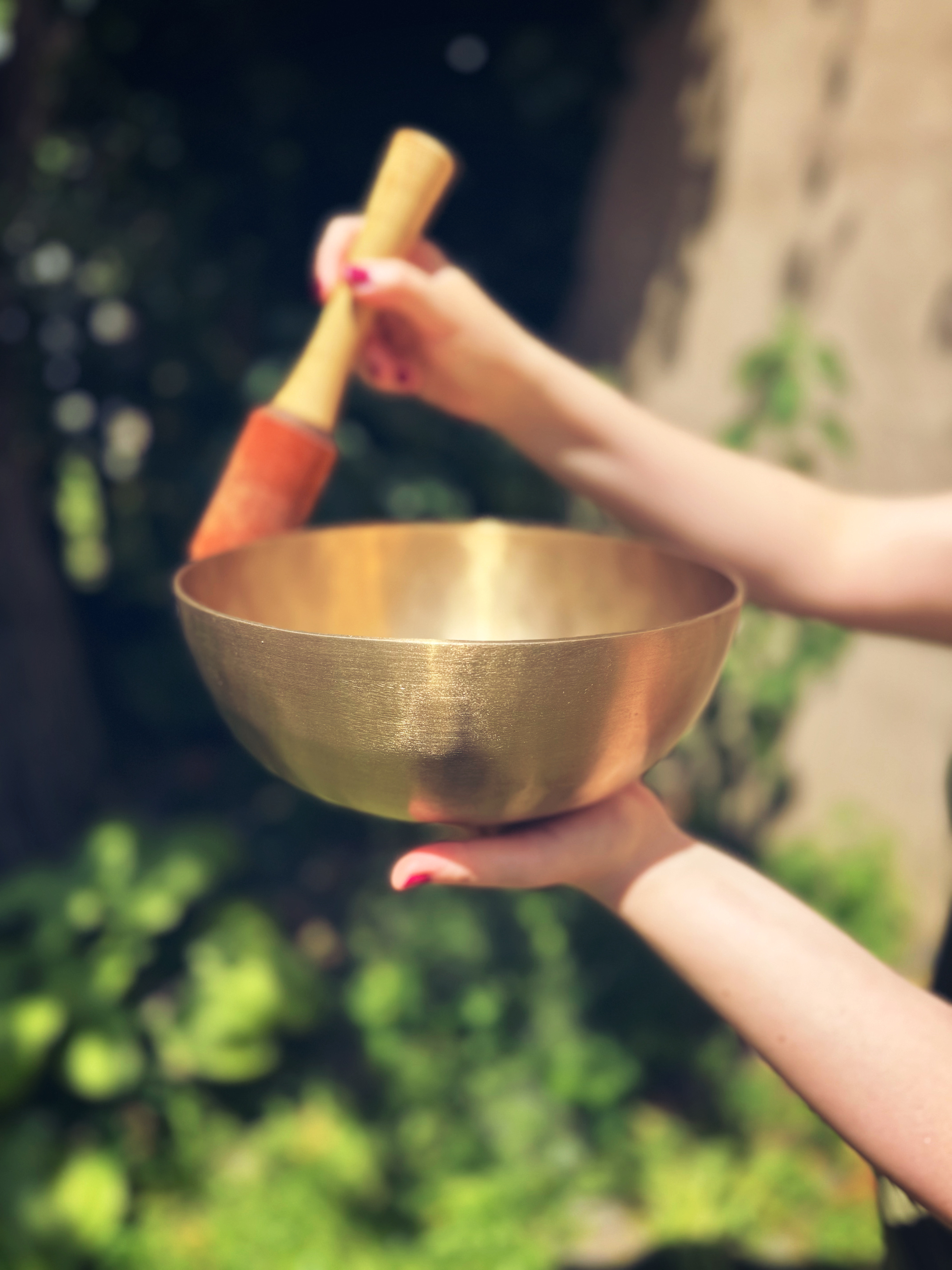 Fotografie din sesiuni și evenimente EquilibraTer