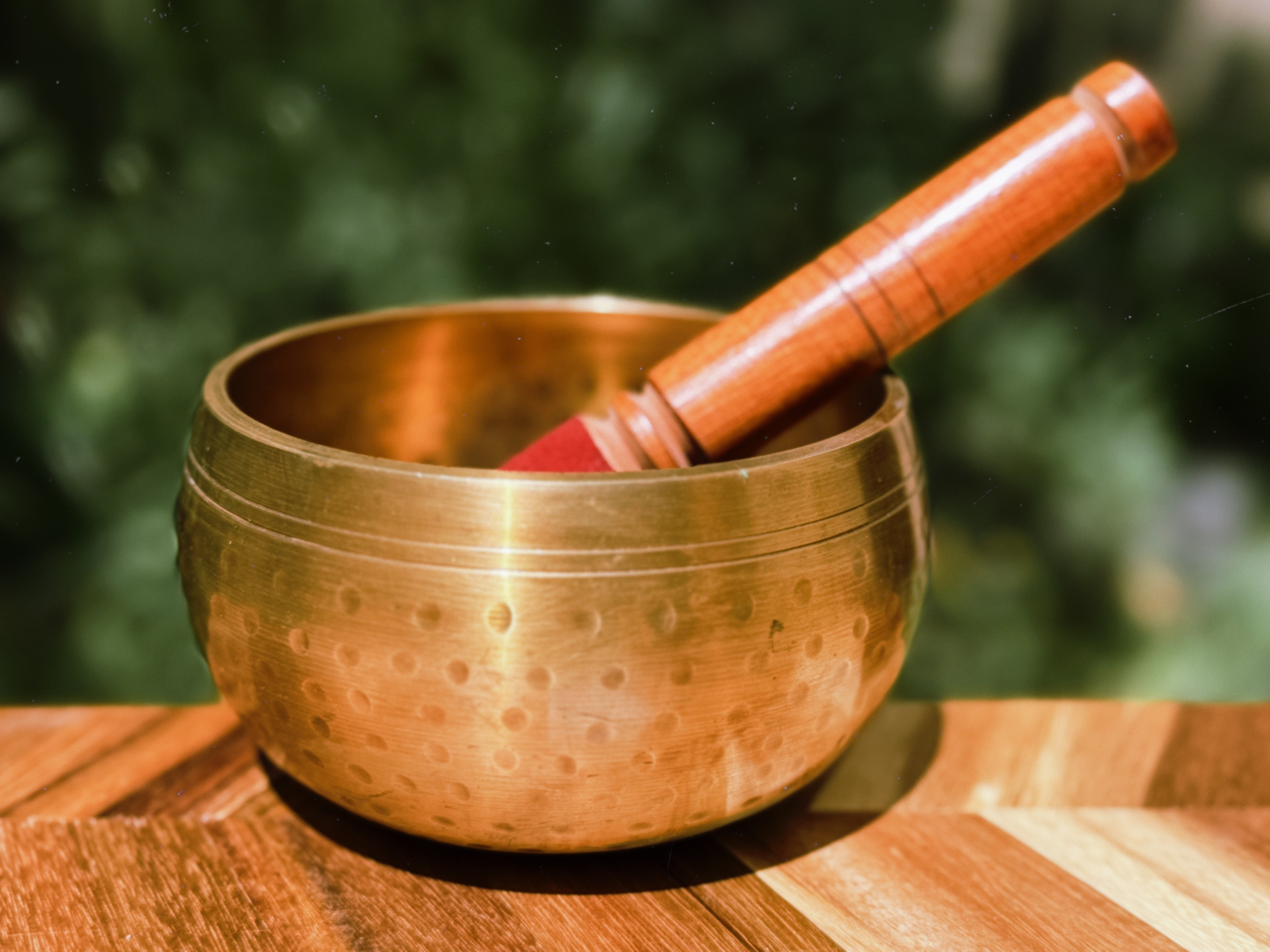 Fotografie din sesiuni și evenimente EquilibraTer