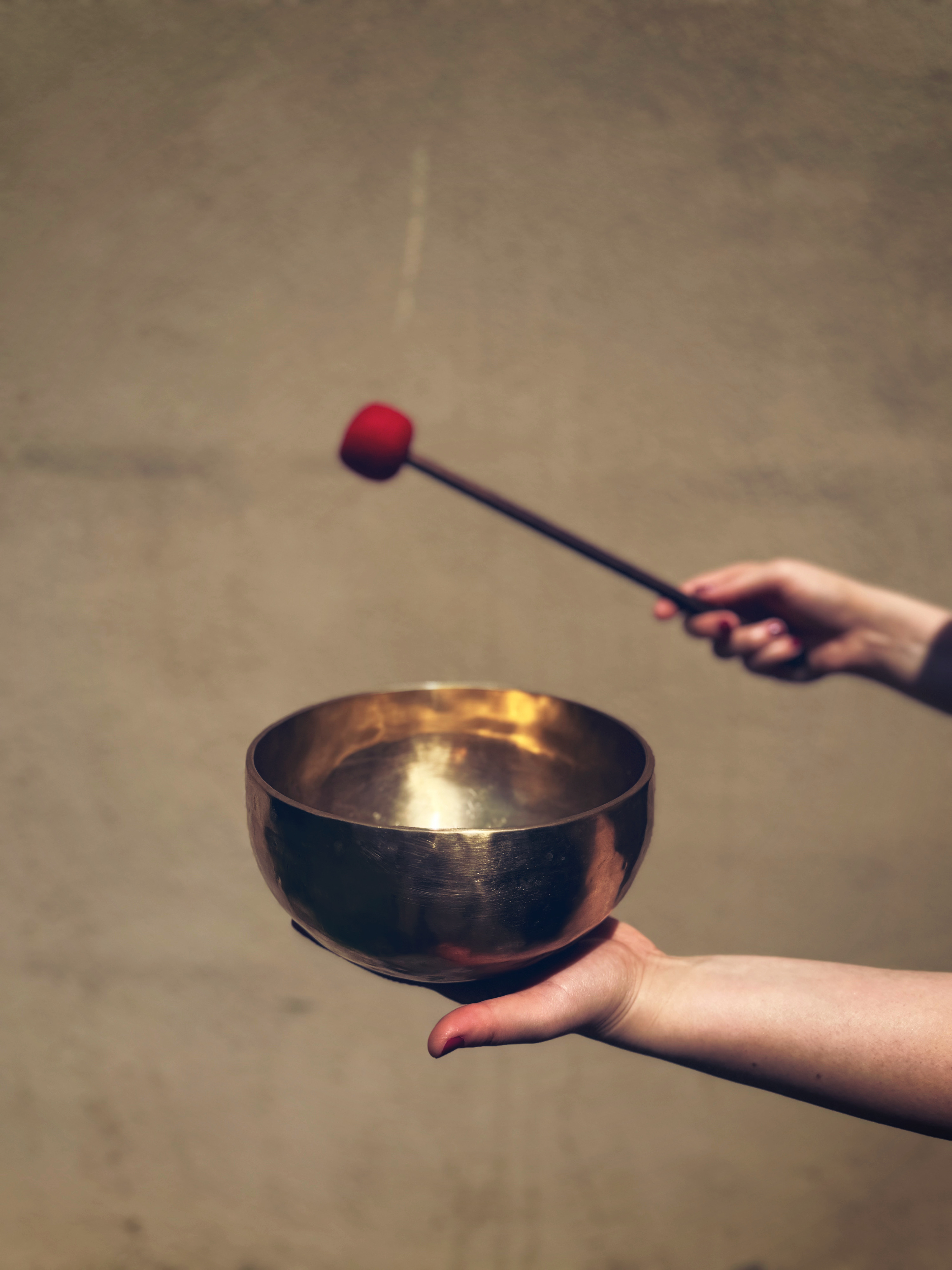 Fotografie din sesiuni și evenimente EquilibraTer