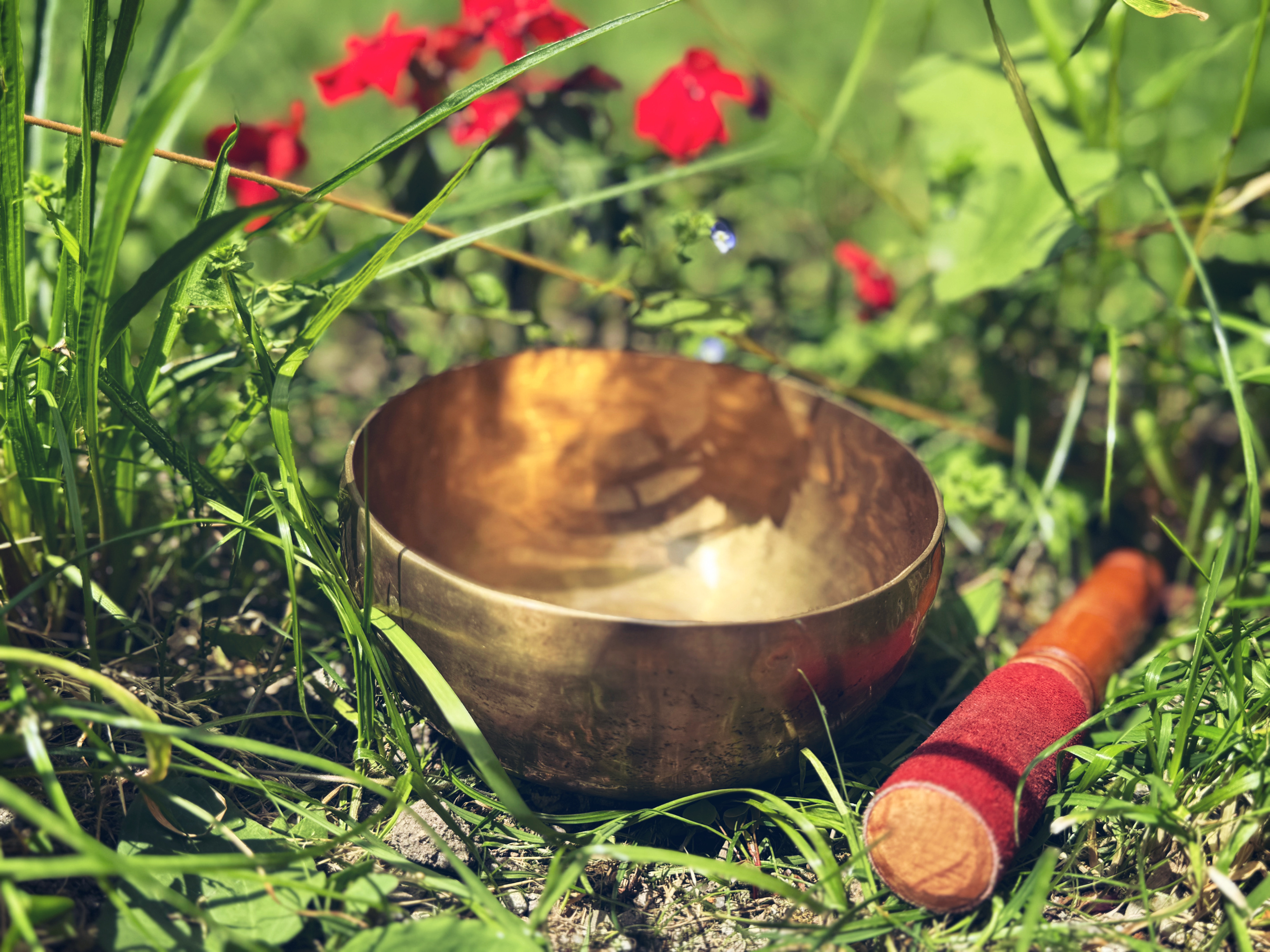 Fotografie din sesiuni și evenimente EquilibraTer