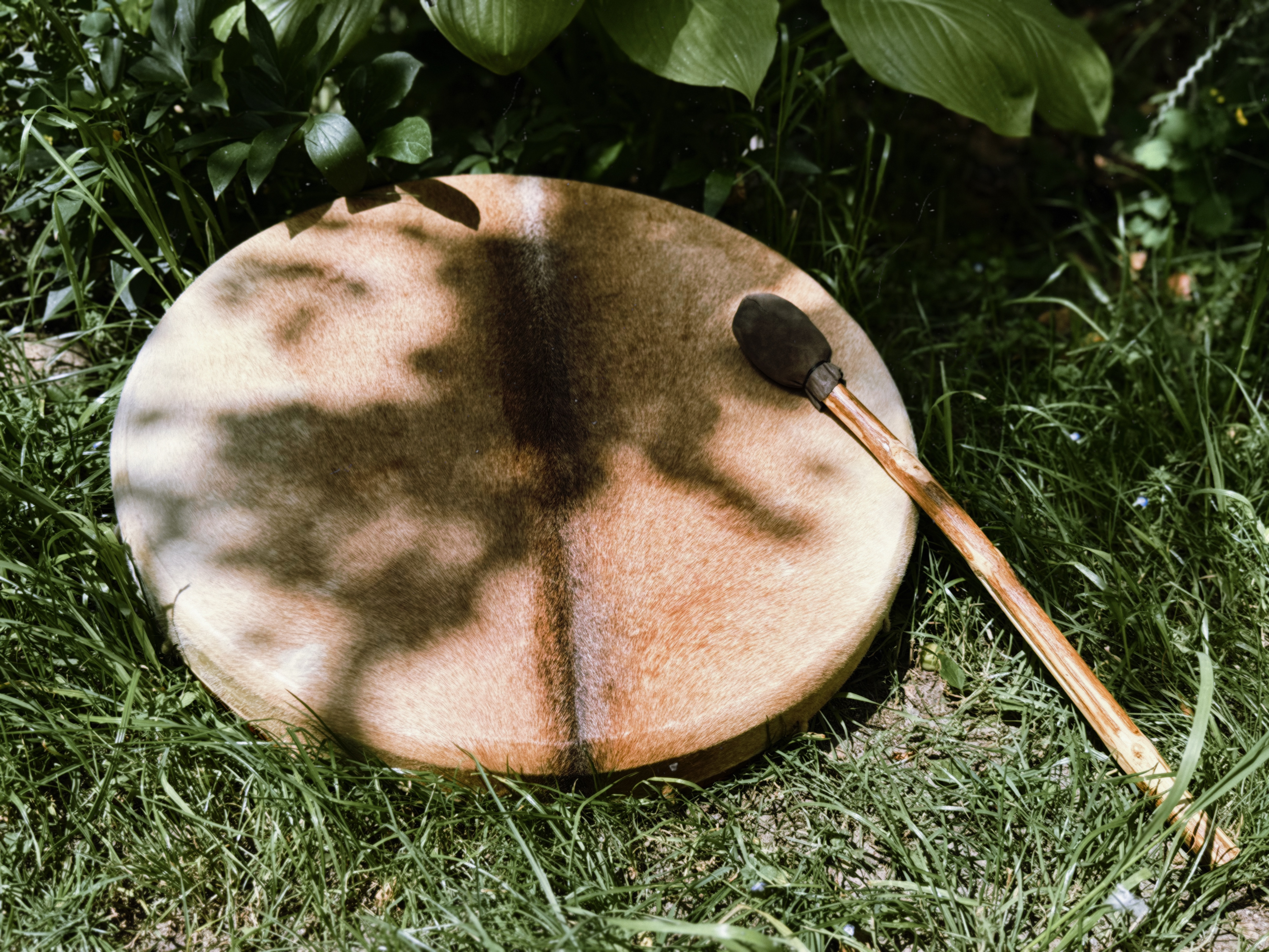 Fotografie din sesiuni și evenimente EquilibraTer