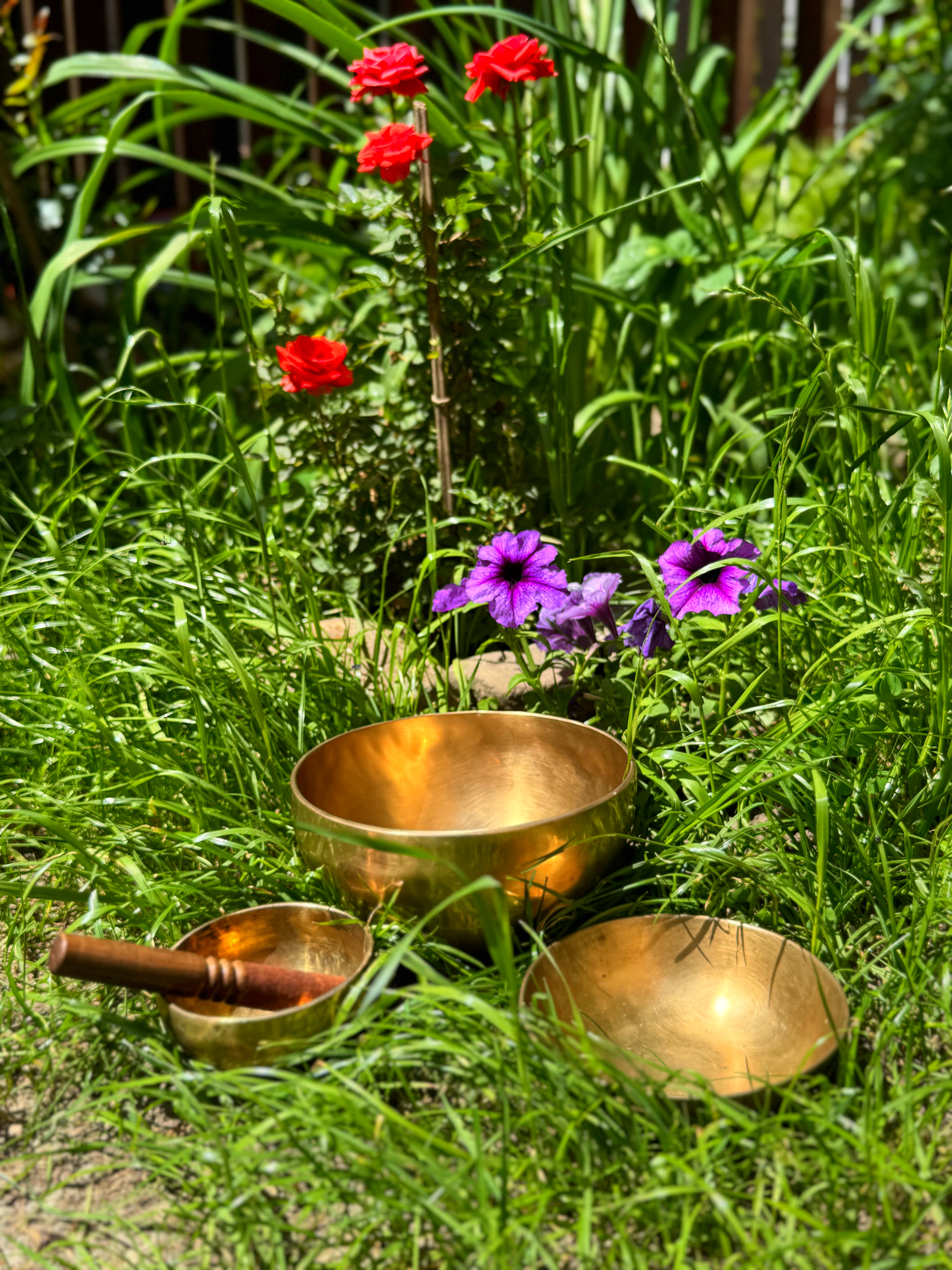 Fotografie din sesiuni și evenimente EquilibraTer