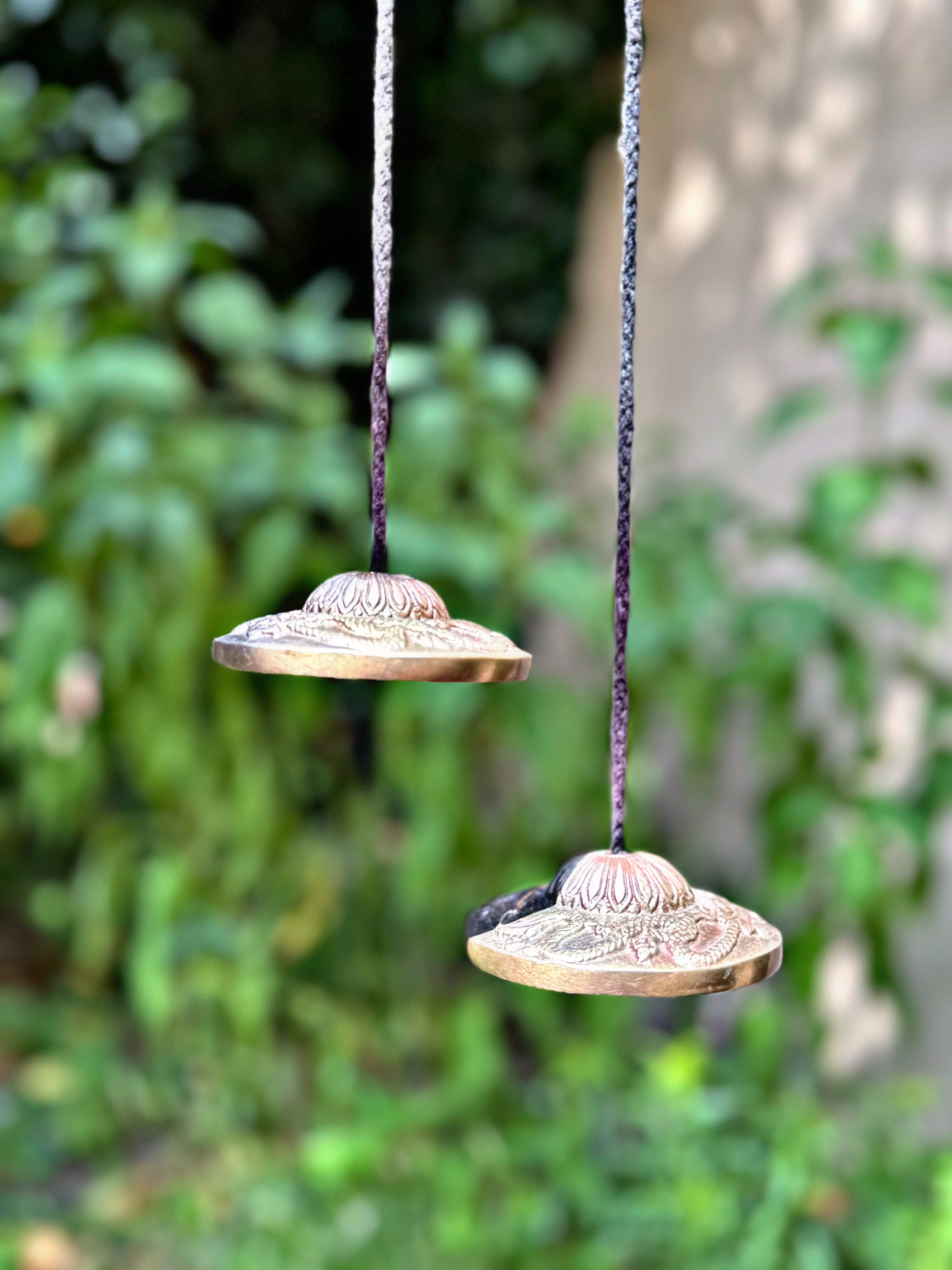 Fotografie din sesiuni și evenimente EquilibraTer