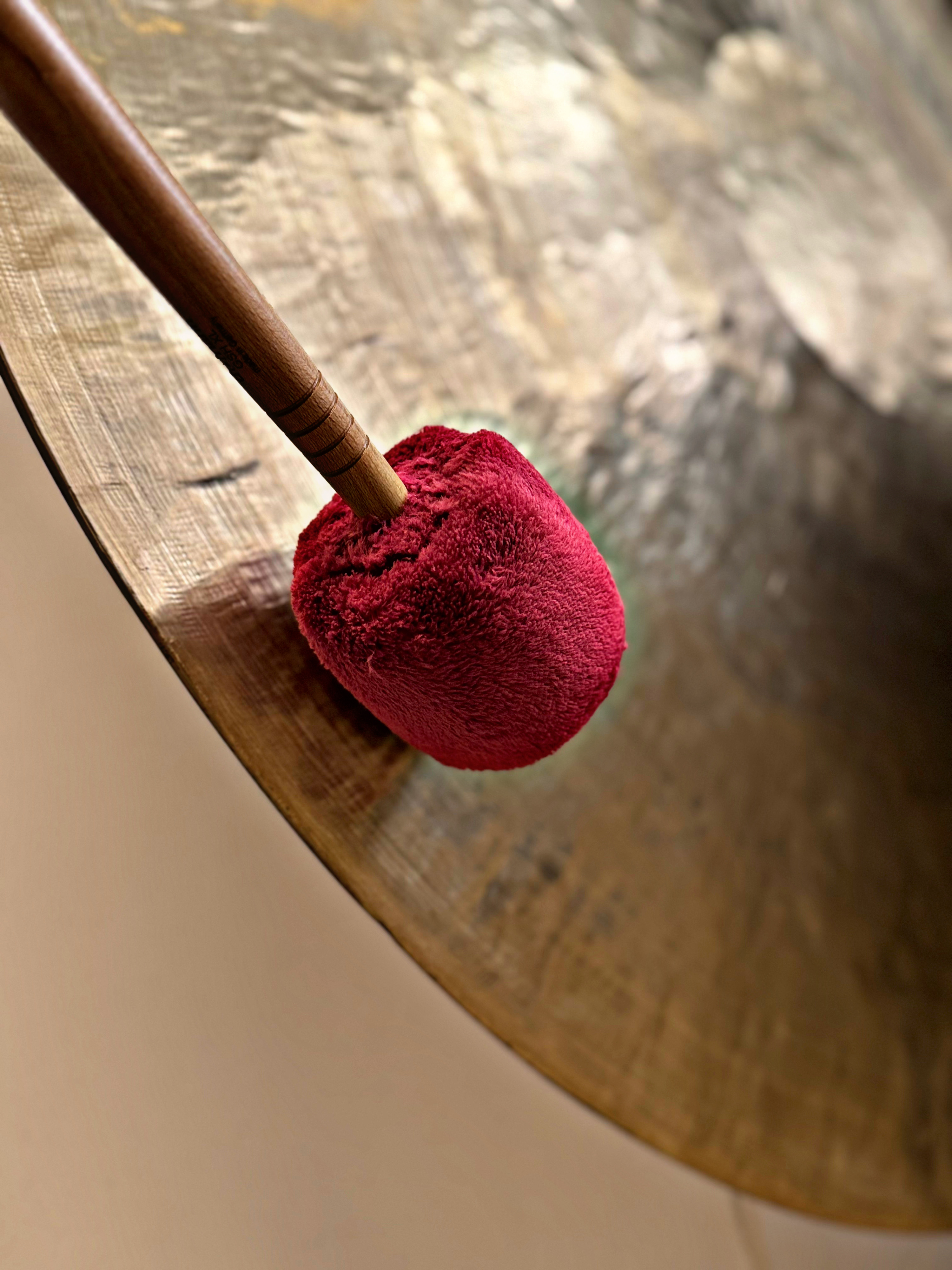 Fotografie din sesiuni și evenimente EquilibraTer