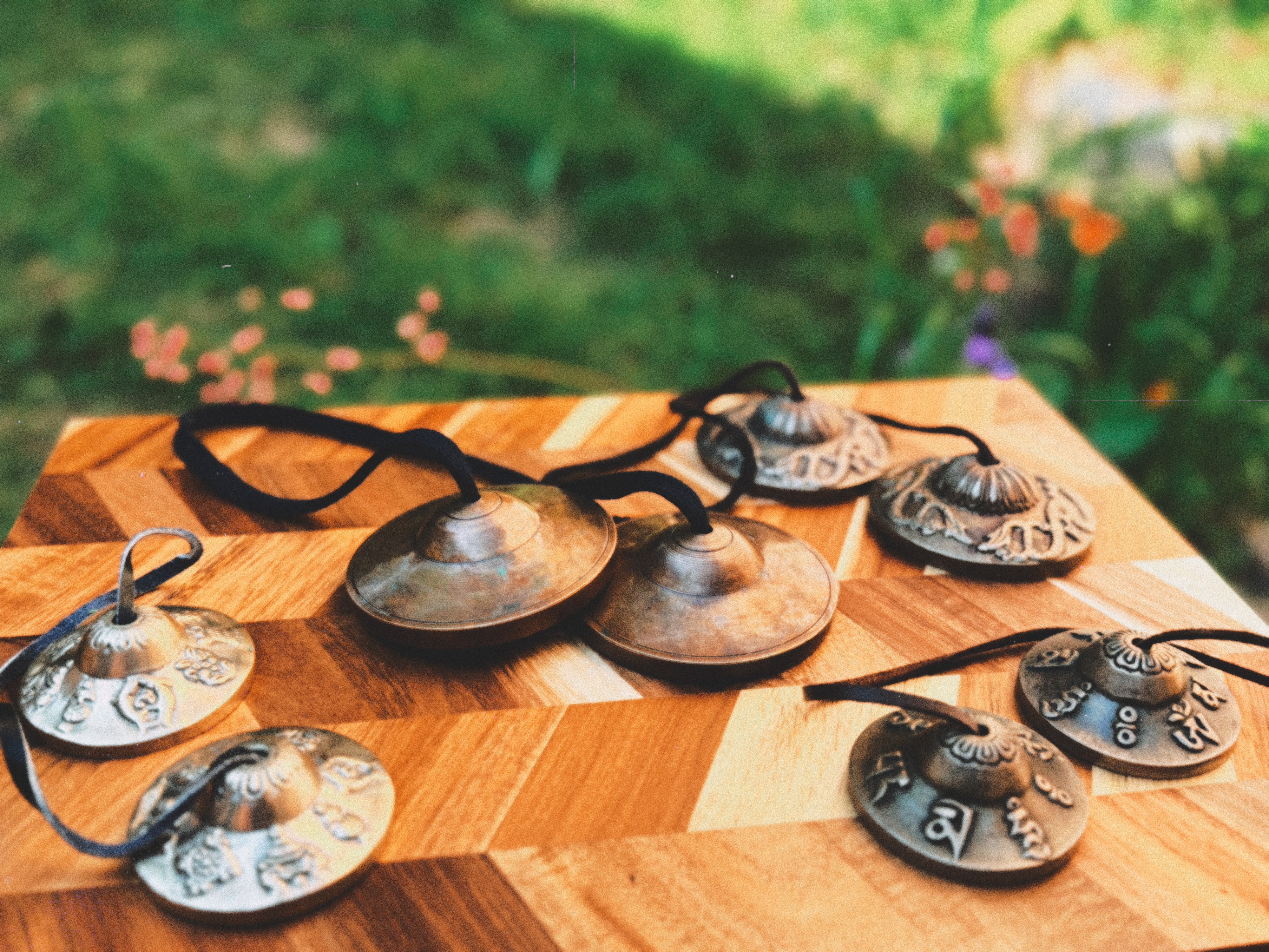 Fotografie din sesiuni și evenimente EquilibraTer