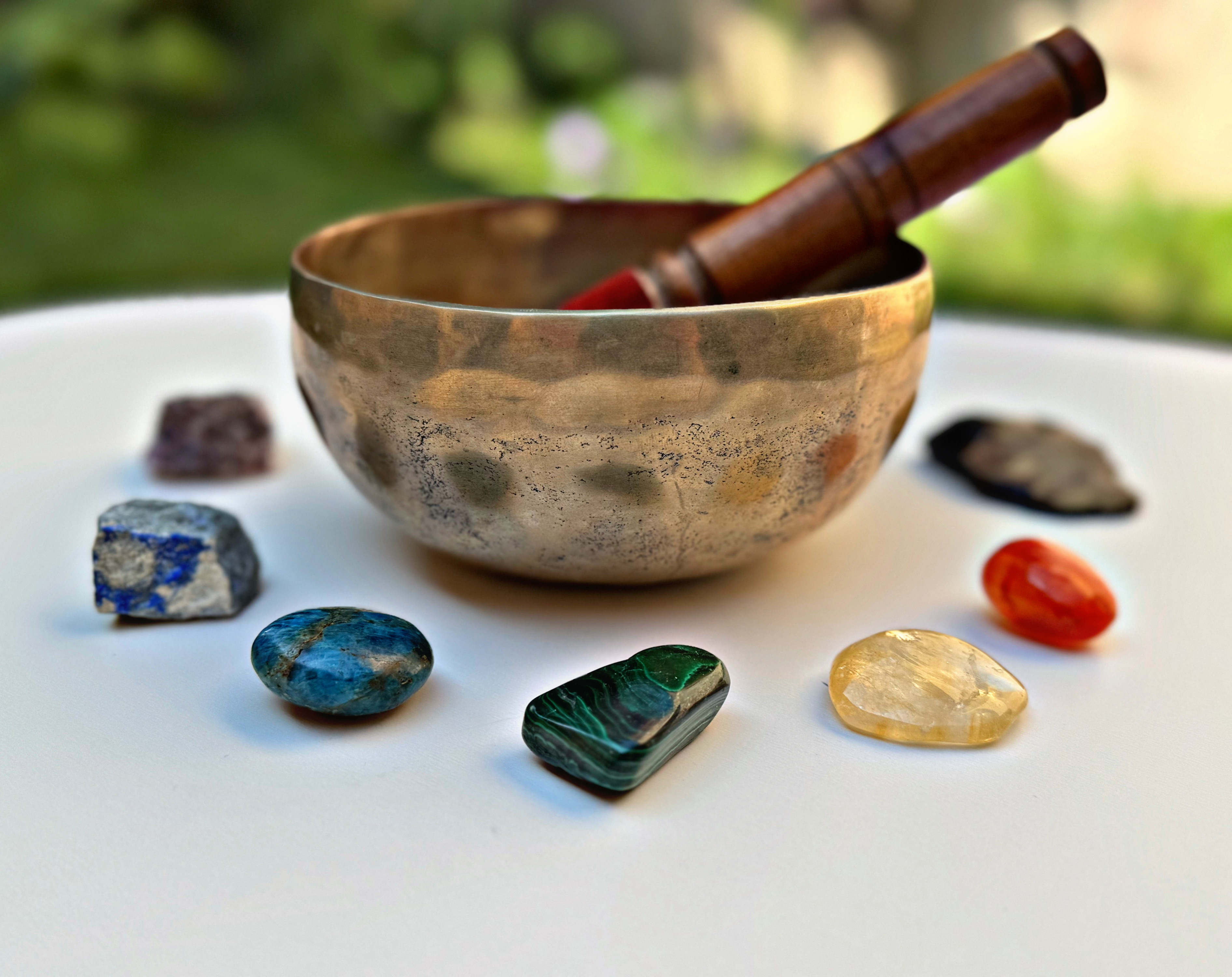 Fotografie din sesiuni și evenimente EquilibraTer