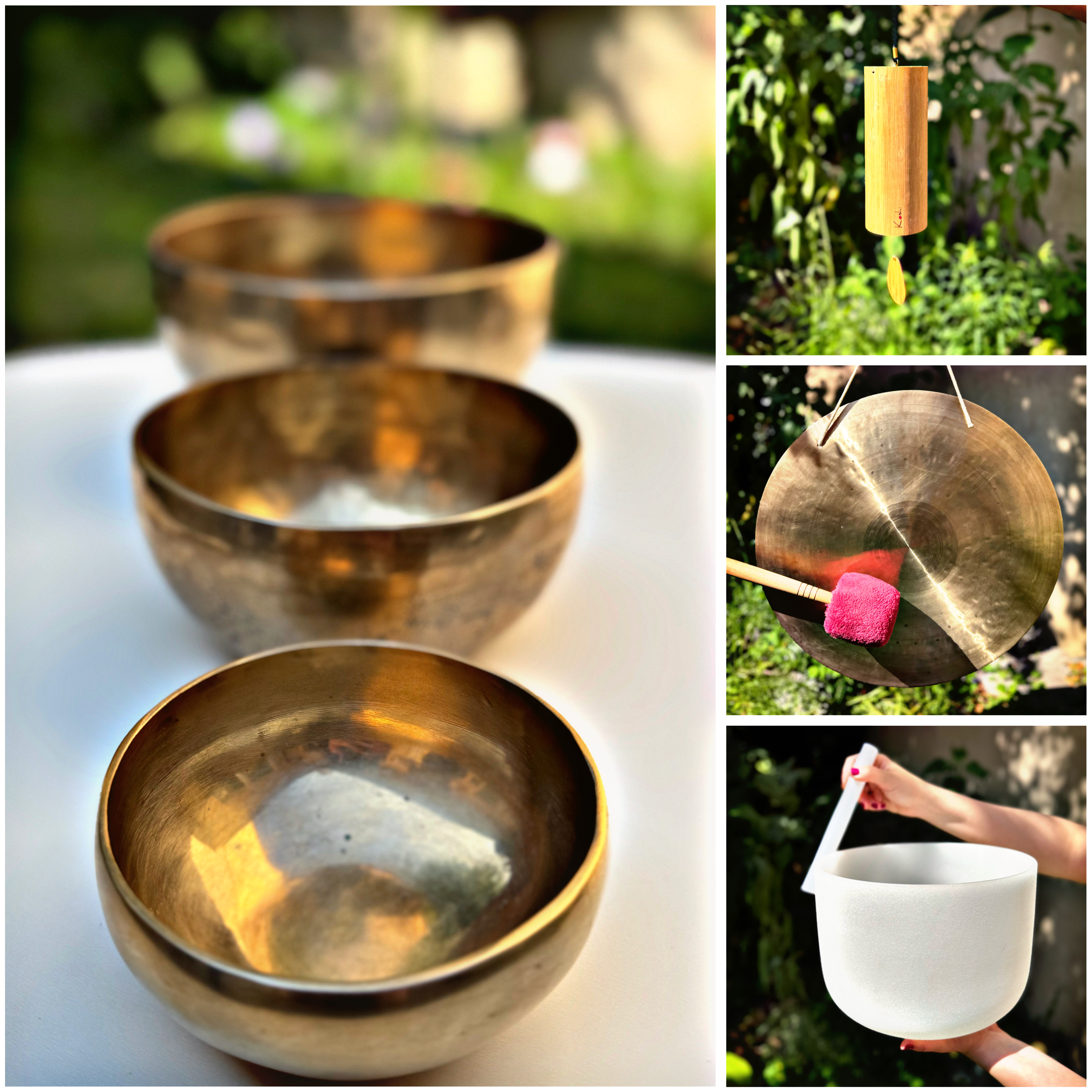 Fotografie din sesiuni și evenimente EquilibraTer