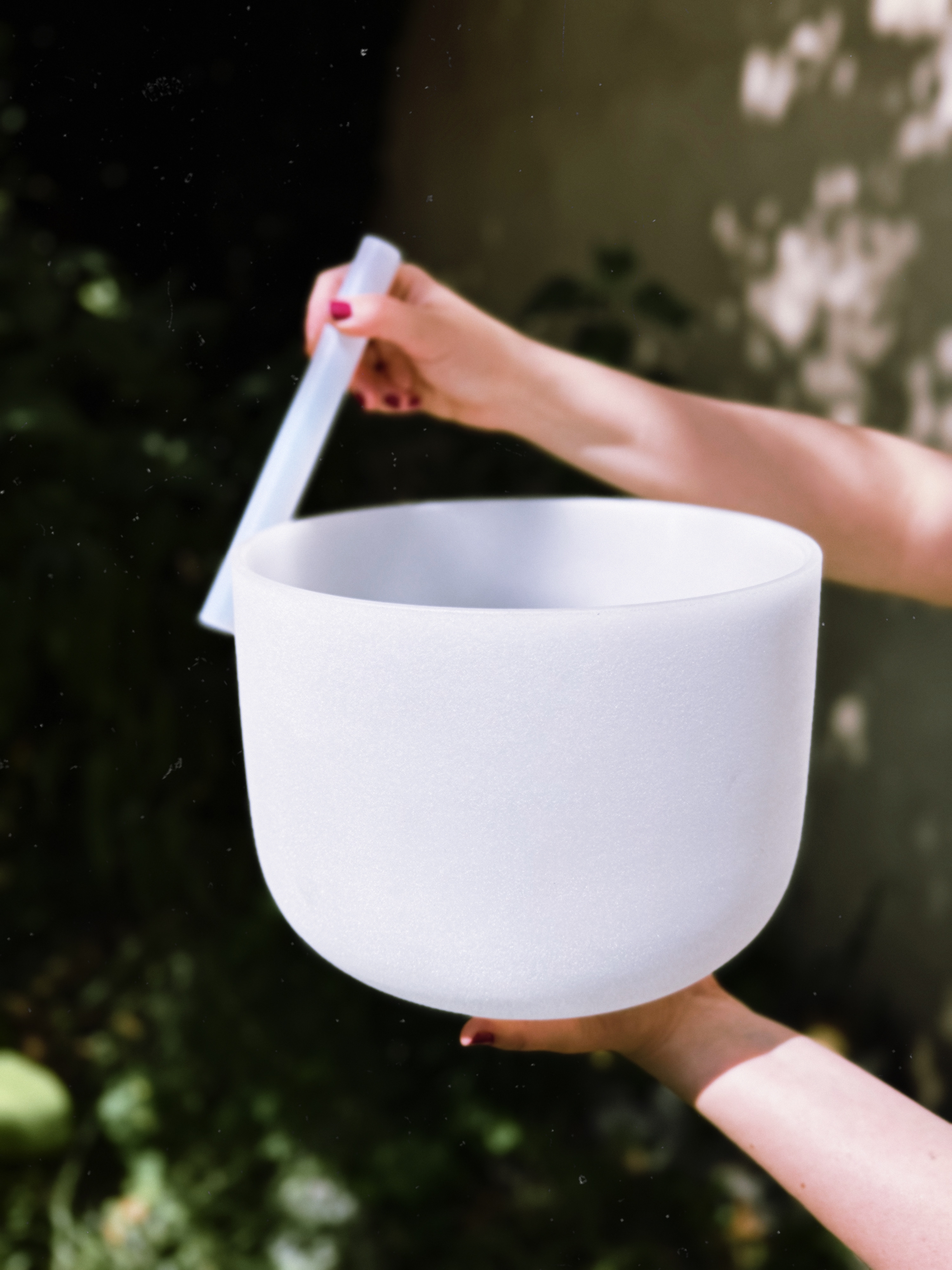 Fotografie din sesiuni și evenimente EquilibraTer