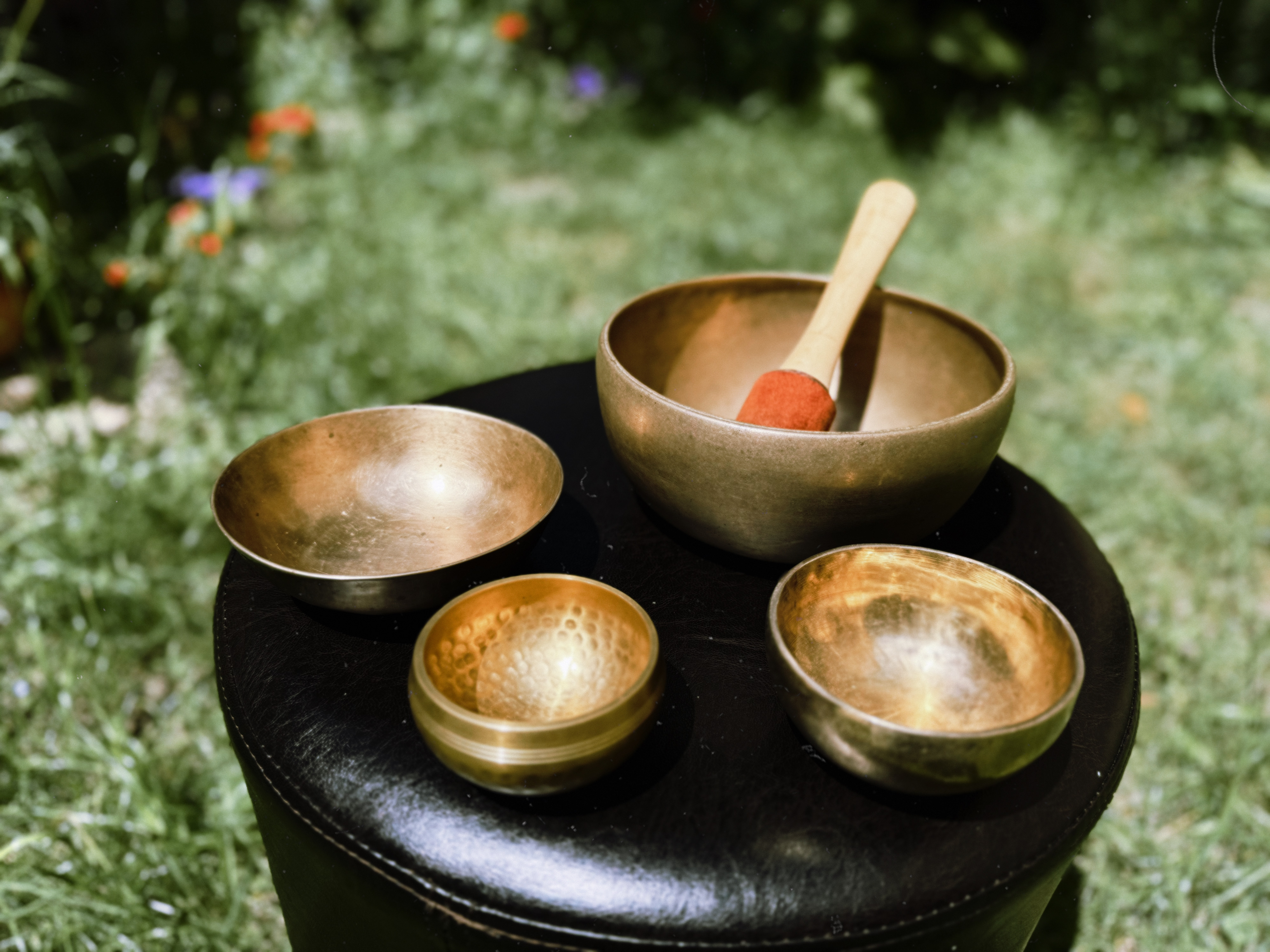 Fotografie din sesiuni și evenimente EquilibraTer